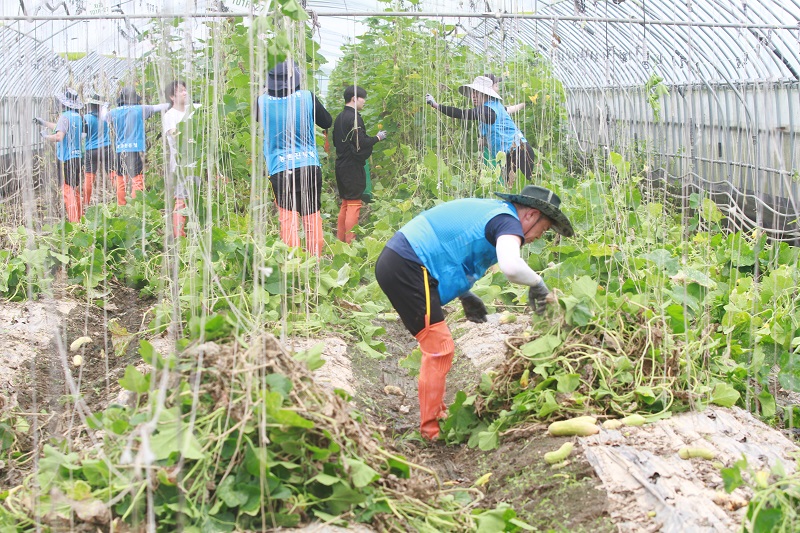 집중호우로 피해를 입은 전북 군산 과채류 재배 농가에서 자원봉사자들이 피해 복구 활동을 돕고 있다. 2024.7.22(ⓒ뉴스1, 무단 전재-재배포 금지)