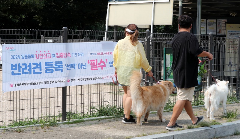 서울 마포구 월드컵공원에서 한 반려인들이 반려견과 함께 산책을하고 있다.(ⓒ뉴스1, 무단 전재-재배포 금지)
