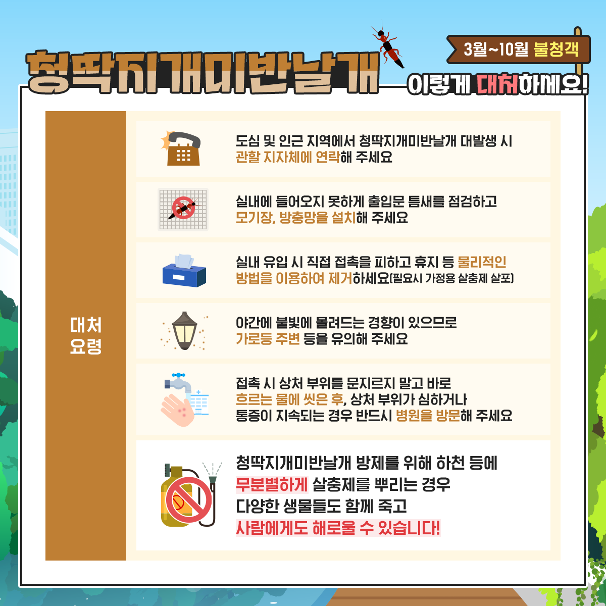 3월~10월 불청객 청딱지개미반날개 이렇게 대처하세요!