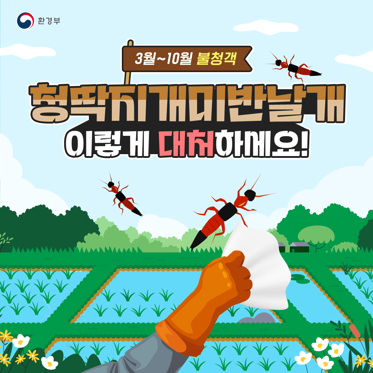 3월~10월 불청객 청딱지개미반날개 이렇게 대처하세요!