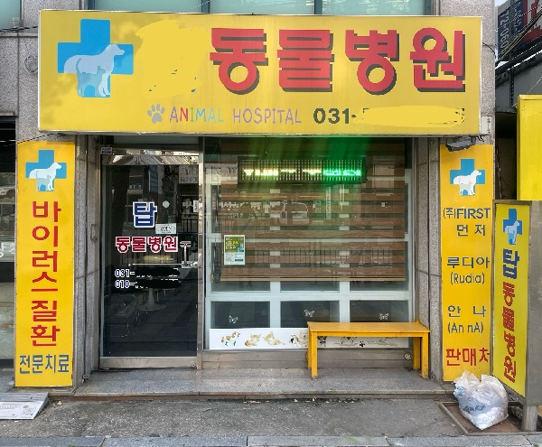 인터뷰가 이뤄진 집 근처 동물병원