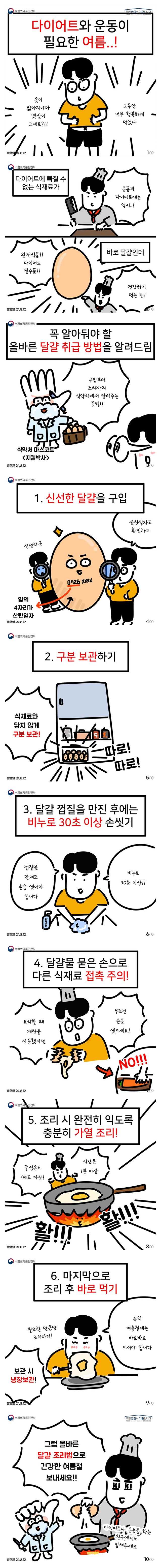 에그러버 한국인들이 알아야 할 달걀 관리법 6가지!