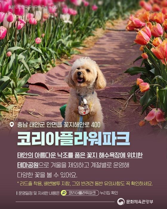 반려동물과 함께 떠나기 좋은 관광지는?