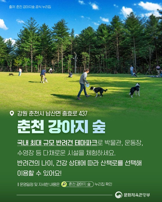 반려동물과 함께 떠나기 좋은 관광지는?