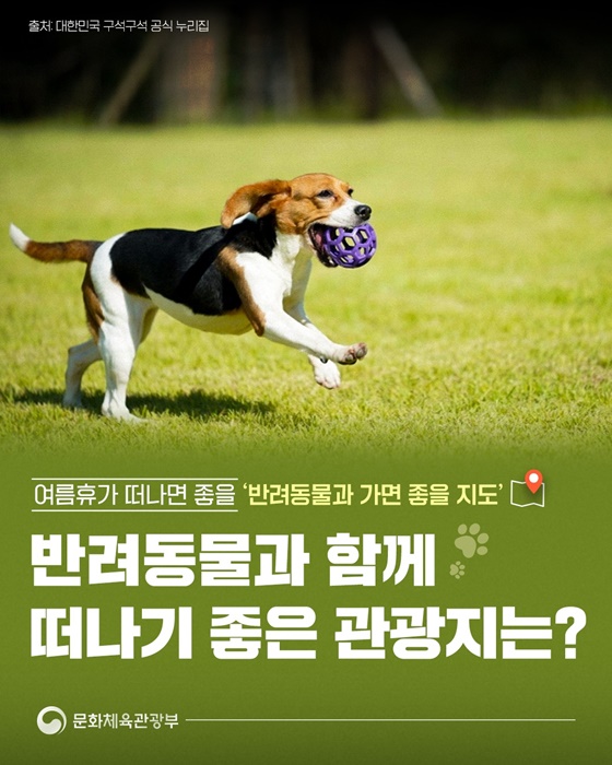 반려동물과 함께 떠나기 좋은 관광지는?