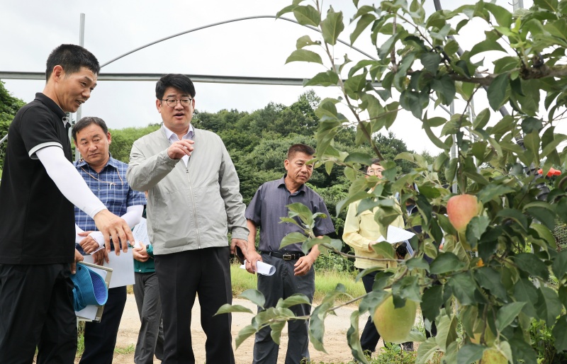 권재한 농촌진흥청장(가운데)이 20일 전북 장수군의 사과 농가에서 ‘농업기상재해 조기경보서비스’의 활용 상황을 점검하고 농민들과 서비스 개편과 관련한 의견을 나누고 있다.(제공=농촌진흥청)