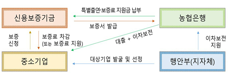 특례 대출 및 보증 지원 내용  (자세한 내용은 본문에 설명 있음)