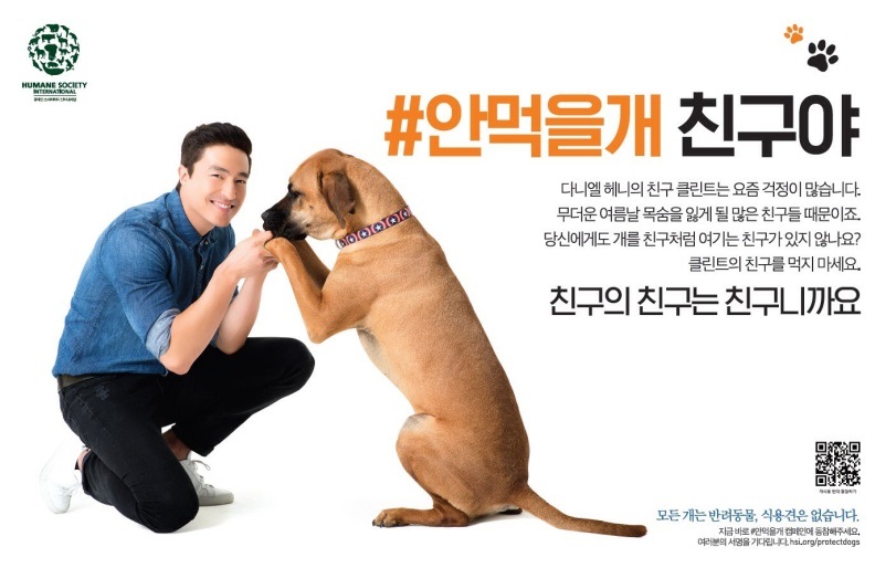 다니엘 헤니는 2015년부터 국제 동물보호단체인 휴메인 소사이어티 인터내셔널(Humane Society International, HSI)와 함께 개식용 반대 캠페인에 동참해왔다.(제공=다니엘 헤니)