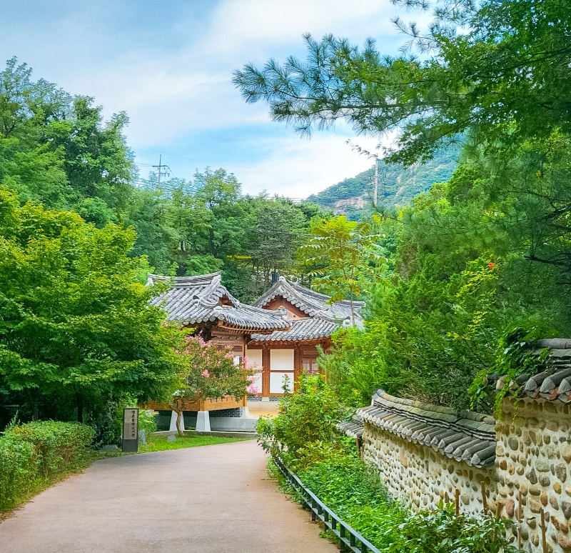 자연과 아름답게 어우러진 도서관에서 힐링해볼까?