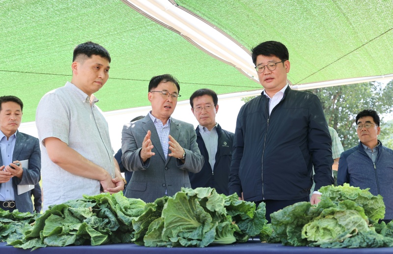 권재한 농촌진흥청장이 13일 강원도 평창군 국립원예특작과학원 진부시험지에서 여름배추 수급 안정을 위한 준고랭지 신작형 생산기술 연구 상황을 점검하고 있다.(ⓒ뉴스1, 무단 전재-재배포 금지)