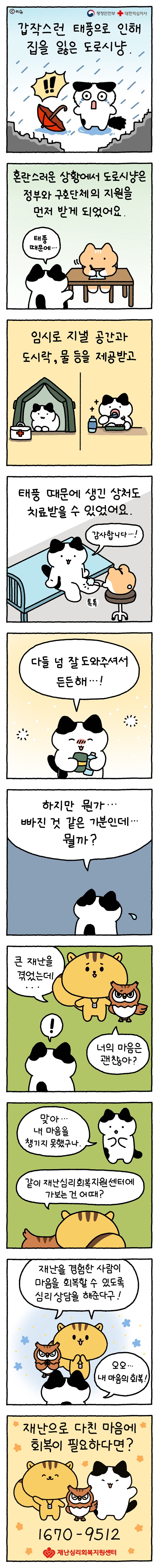 갑작스러운 재난으로 나의 마음이 힘들다면?