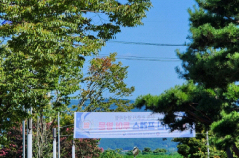 파란 하늘과 푸른 나무가 반겼던 전북대학교 고창캠퍼스. 입구 사진 뜨거운 취재열기 속 많은 것을 알아가는 의미있는 시간이였다