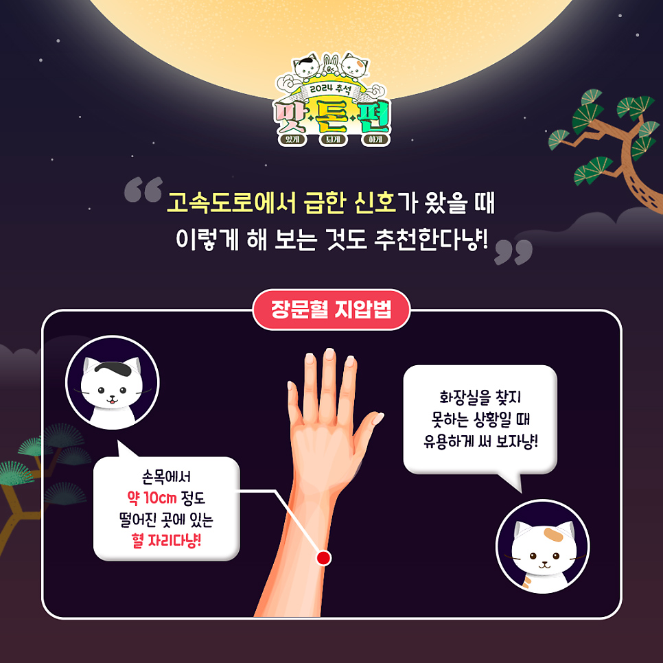 고속도로 한가운데서 급 마려울 때 대처법!