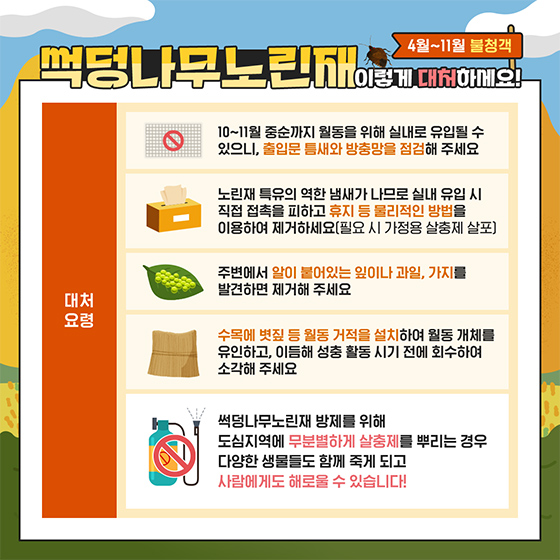 4월~11월에 출몰하는 불청객, 썩덩나무노린재 대처법!