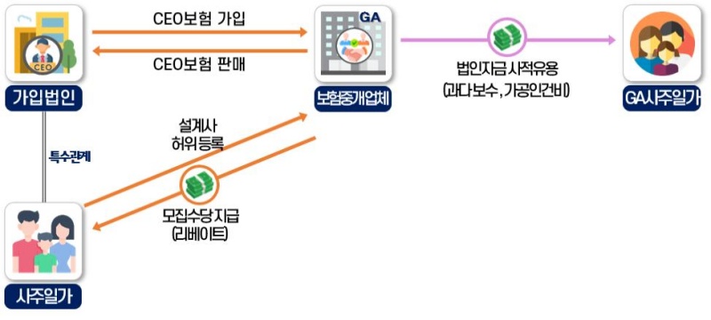 CEO보험 가입법인의 CEO 가족에게 리베이트 제공한 보험중개 업체 사례.(제공=국세청)