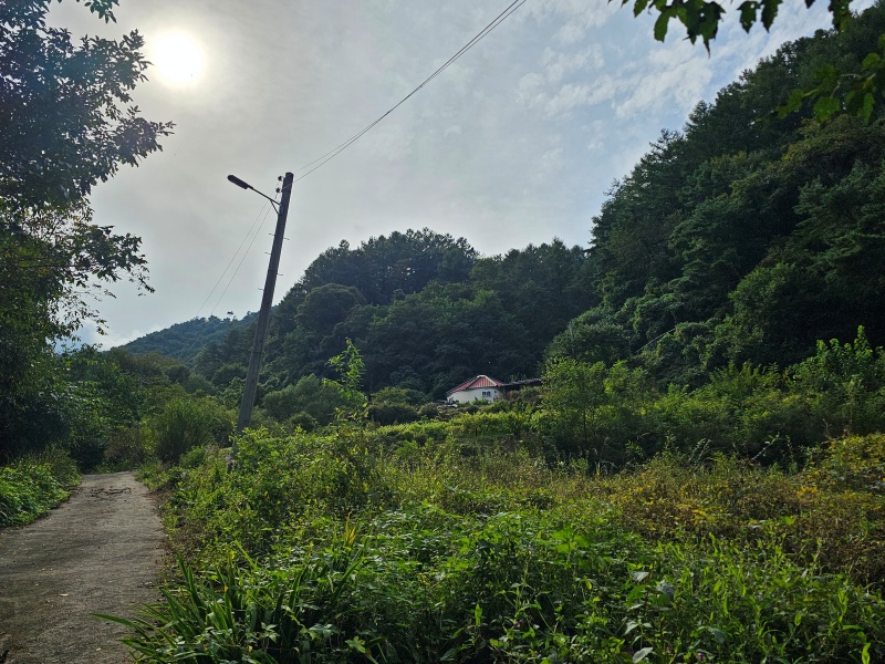 우편물 배달 시 만나볼 수 있는 시외지역의 외딴집 한 채. 시외지역으로 갈수록 집배원의 지킴이 역할은 커진다.