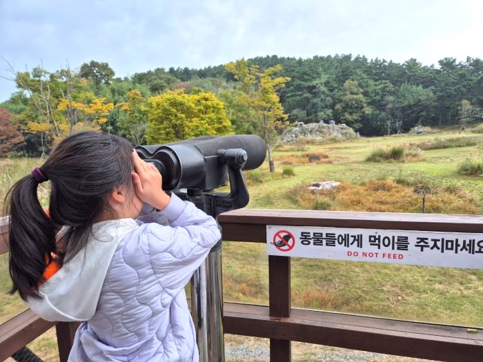 서석지에 있는 산양과 고라니를 보고 있는 자녀.