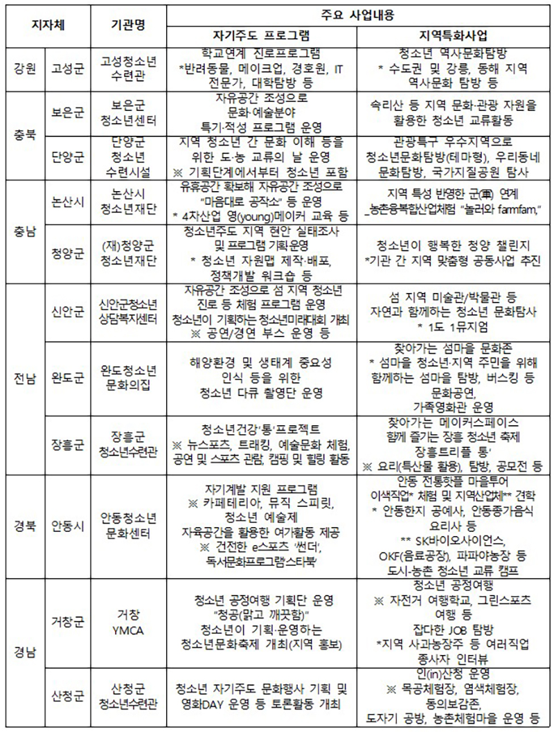 11개 지역별 시범운영 사업 주요내용  (자세한 내용은 본문에 설명 있음)