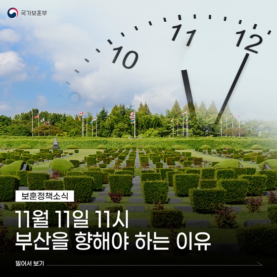 11월 11일 11시 부산을 향해야 하는 이유