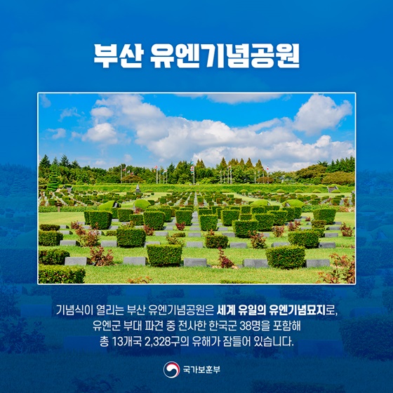 11월 11일 11시 부산을 향해야 하는 이유