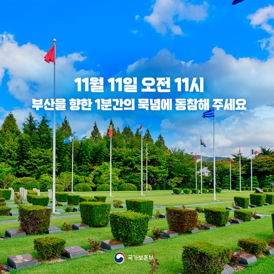 11월 11일 11시 부산을 향해야 하는 이유