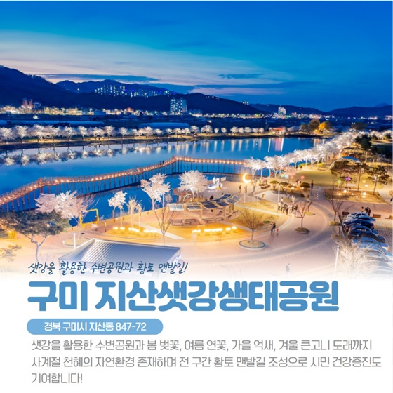 2024년 산림청이 선정한 모범도시숲은 어디?