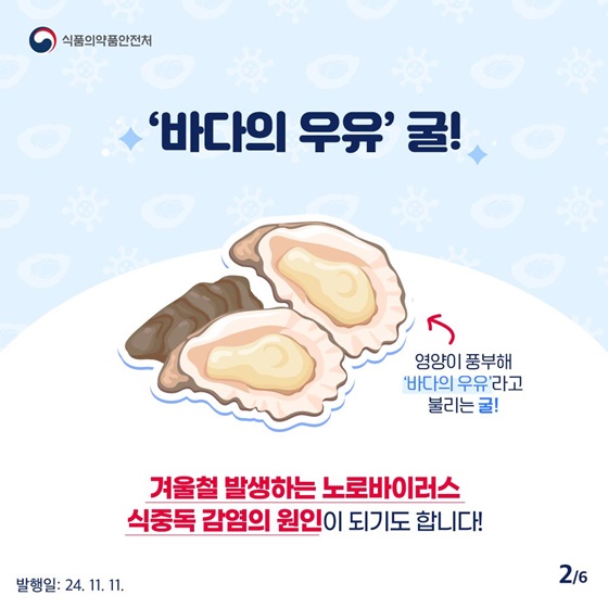 노로바이러스에 굴하지 않고 안전하게 굴 먹는 법