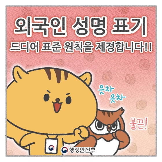 외국인 성명 표기, 표준 원칙 제정