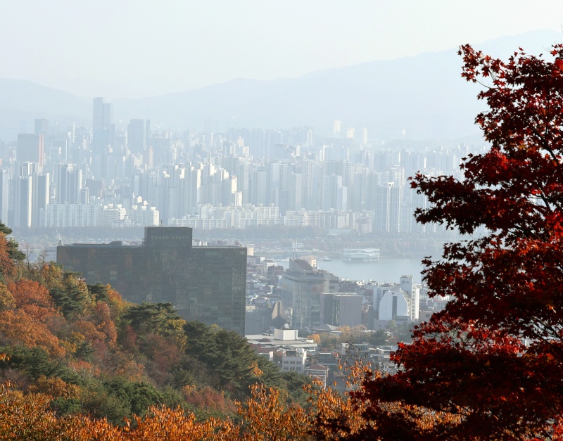 서울과 경기 등 일부 지역의 초미세먼지가 ‘나쁨’을 보인 12일 오후 서울 남산의 단풍과 회색 도심이 대비를 이루고 있다.(ⓒ뉴스1, 무단 전재-재배포 금지)