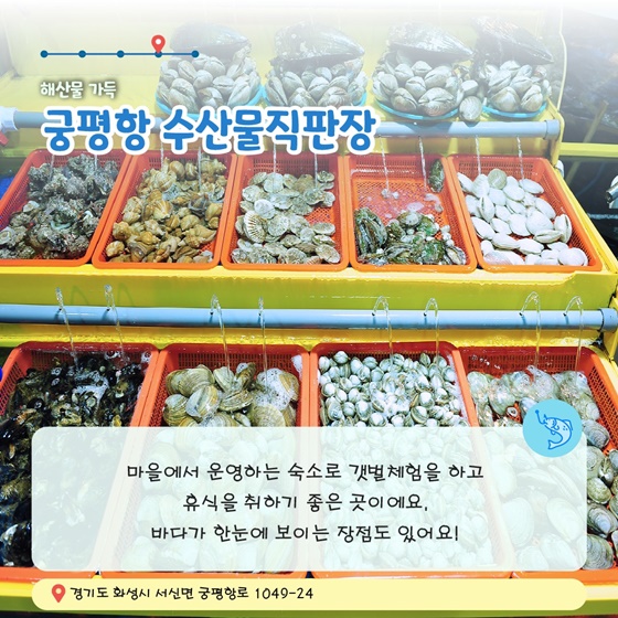 해수부 추천! 12월에 가기 좋은 어촌 안심 여행지 ① 경기 화성 궁평리마을