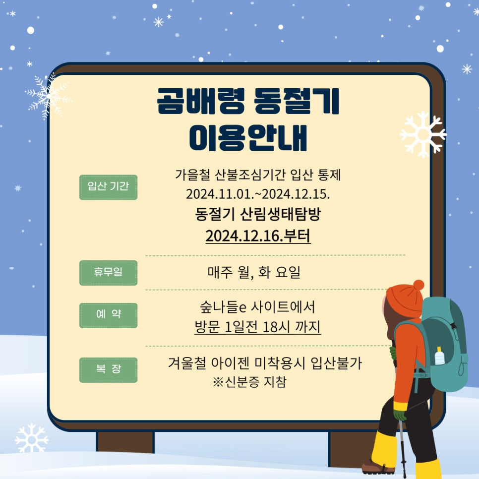 낭만 가득한 겨울 추천 명소 ‘인제 자작나무숲 & 곰배령’