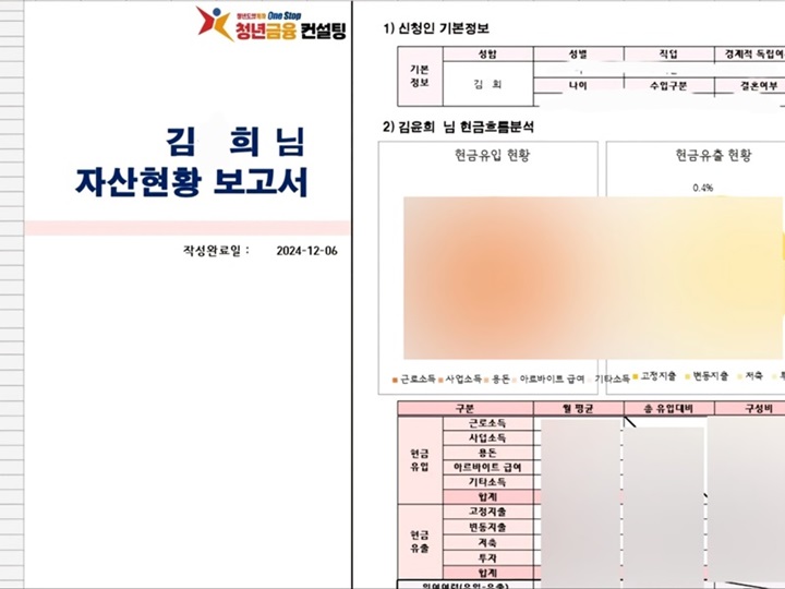 엑셀 파일을 통해 내가 작성한 재무 현황이 보고서로 완성된다. (출처=김윤희)