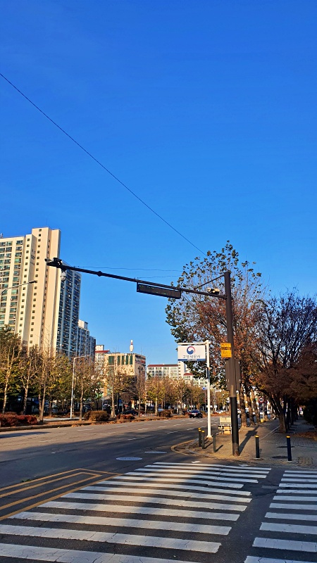 여기저기서 볼 수 있는 지능형 CCTV