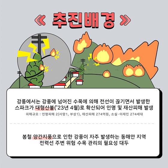 동해안 전력선 주변 산불위험목 제거