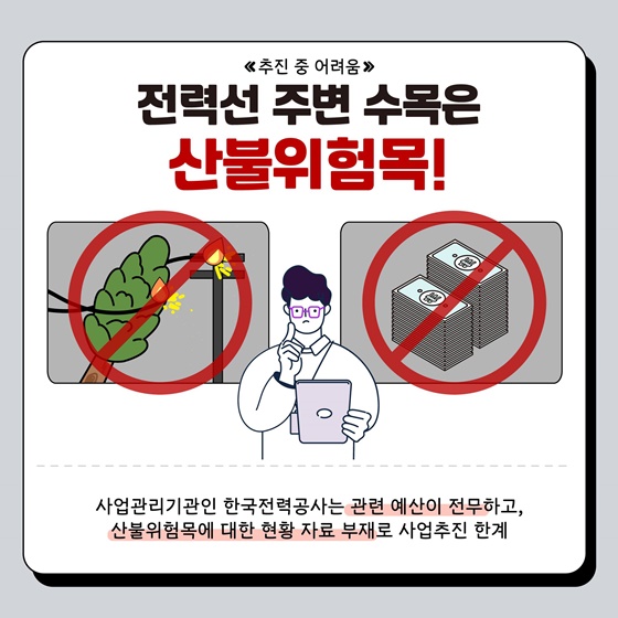 동해안 전력선 주변 산불위험목 제거