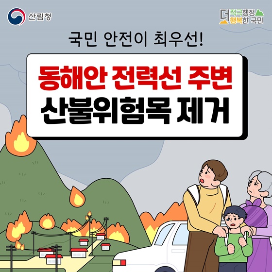 동해안 전력선 주변 산불위험목 제거