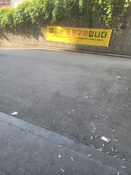 금연구역이라는 현수막이 버젓이 걸려 있는데도 아래에 담배꽁초가 수북하다.