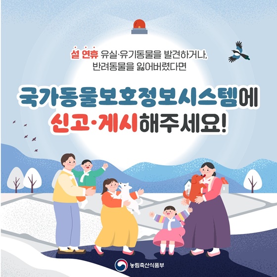 설 연휴 유실·유기동물 발견 시 국가동물보호정보시스템 신고하세요!