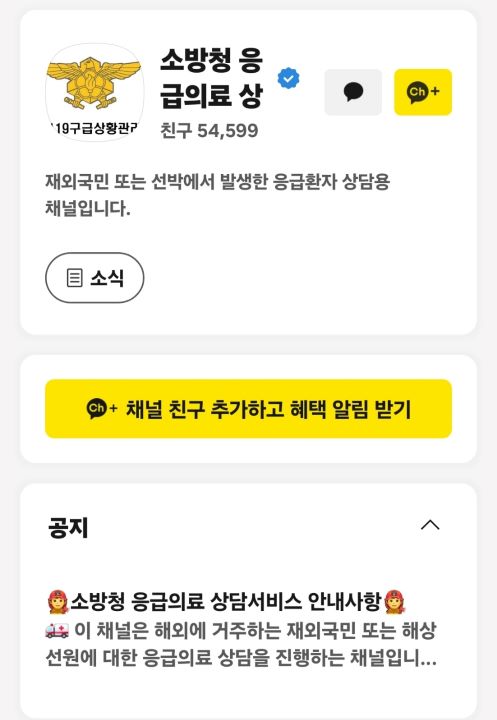 카카오톡 채널을 통해 365일 24시간 의료 상담을 받을 수 있다. 해외에서 필요한 의약품 정보와 응급처치 등의 초기대응방법으로 많은 도움을 받았다는 후기도 확인할 수 있었다.