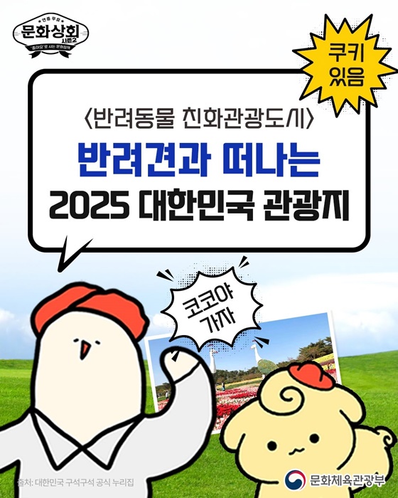 반려동물과 떠나는 2025 대한민국 관광지