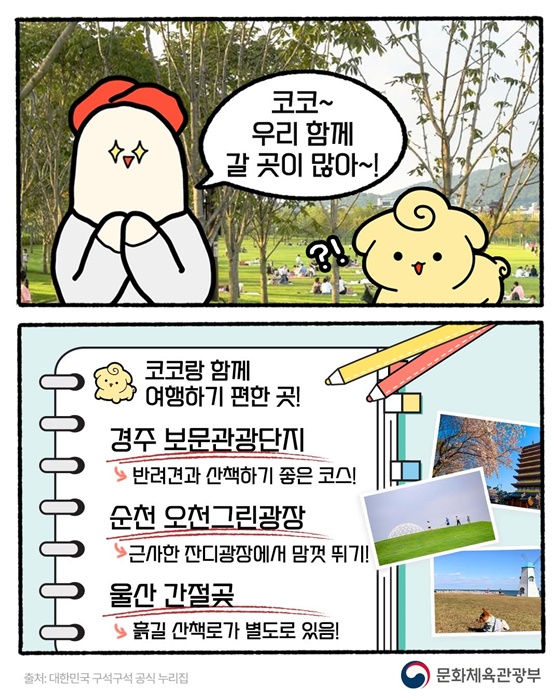 반려동물과 떠나는 2025 대한민국 관광지