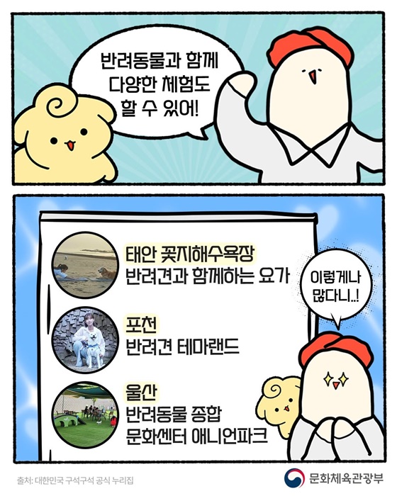 반려동물과 떠나는 2025 대한민국 관광지