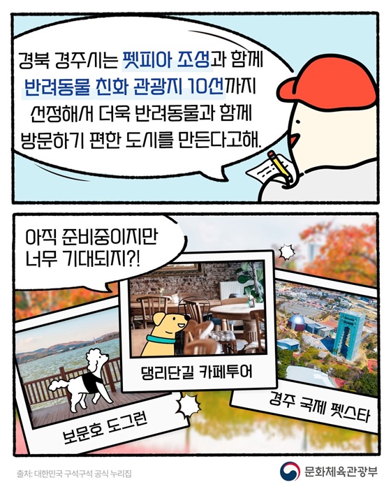 반려동물과 떠나는 2025 대한민국 관광지