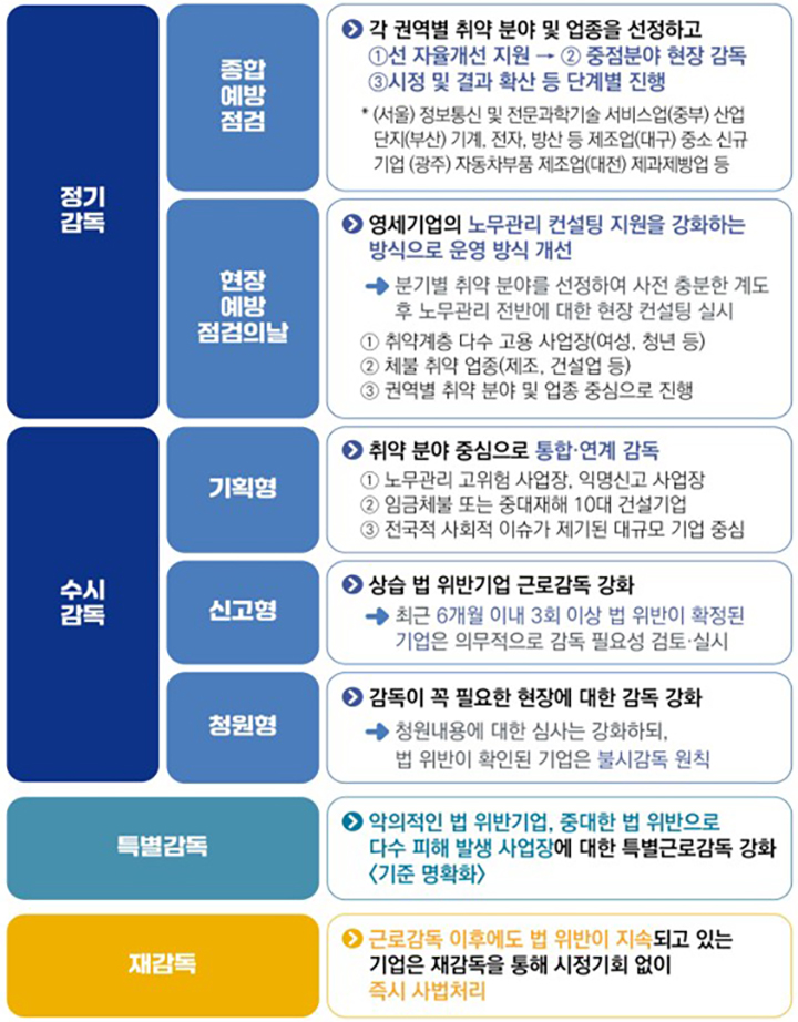 2025년 사업장 근로감독 분야별 계획 (자세한 내용은 본문에 설명 있음)