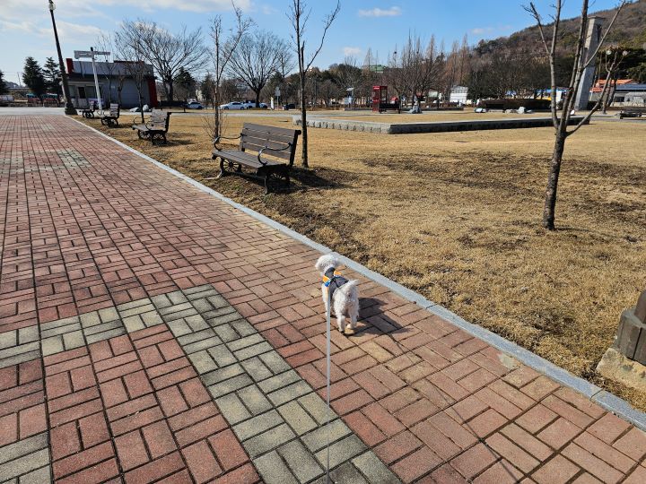 익산에서 반려동물 친화도시 거점으로 선정한 왕궁 보석 박물관부터 공룡 테마공원, 저수지 데크까지 반려동물과 함께 시간을 보내기에 부족함이 없었다.