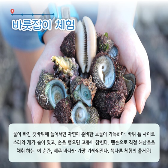 3월에 가기 좋은 어촌 안심 여행지 ① 제주 서귀포 사계마을