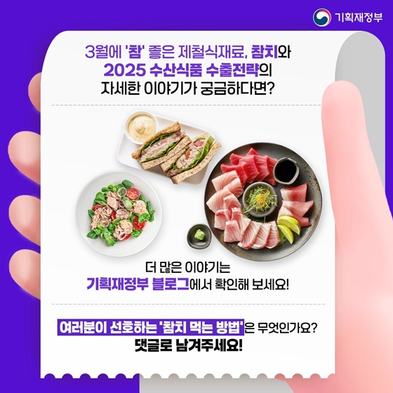 봄바람 타고 온 참치! 3월엔 더 맛있다?!