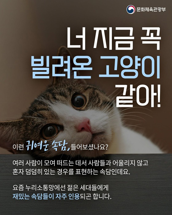 빌려온 고양이 재밌는 유행이 된 우리말 속담