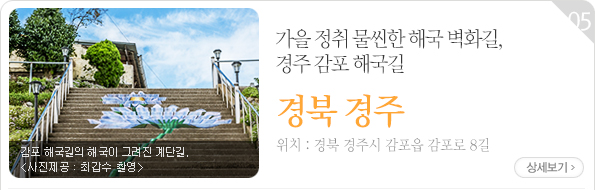 가을 정취 물씬한 해국 벽화길, 경주 감포 해국길 - 경북 경주시