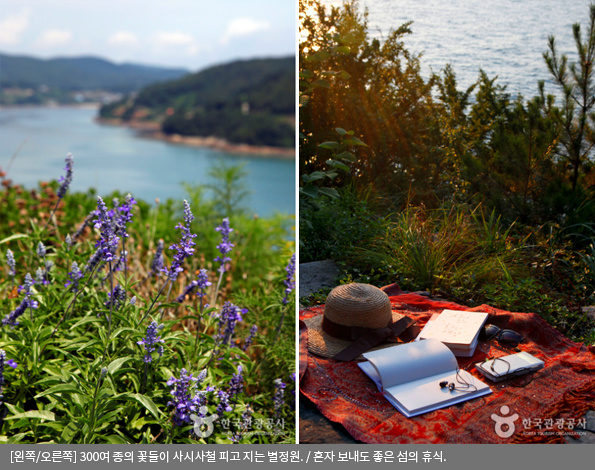 [왼쪽/오른쪽]300여 종의 꽃들이 사시사철 피고 지는 별정원 / 혼자 보내도 좋은 섬의 휴식